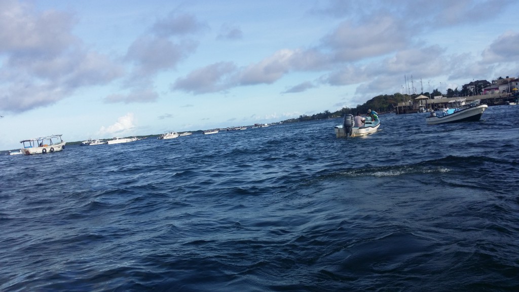 20160416_163935 (1)