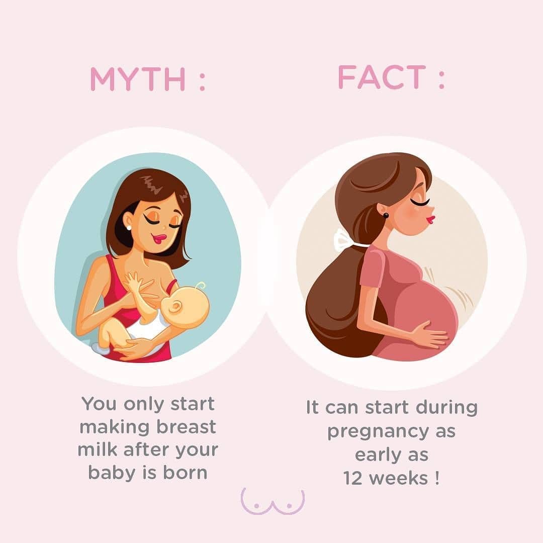 When do start making milk?