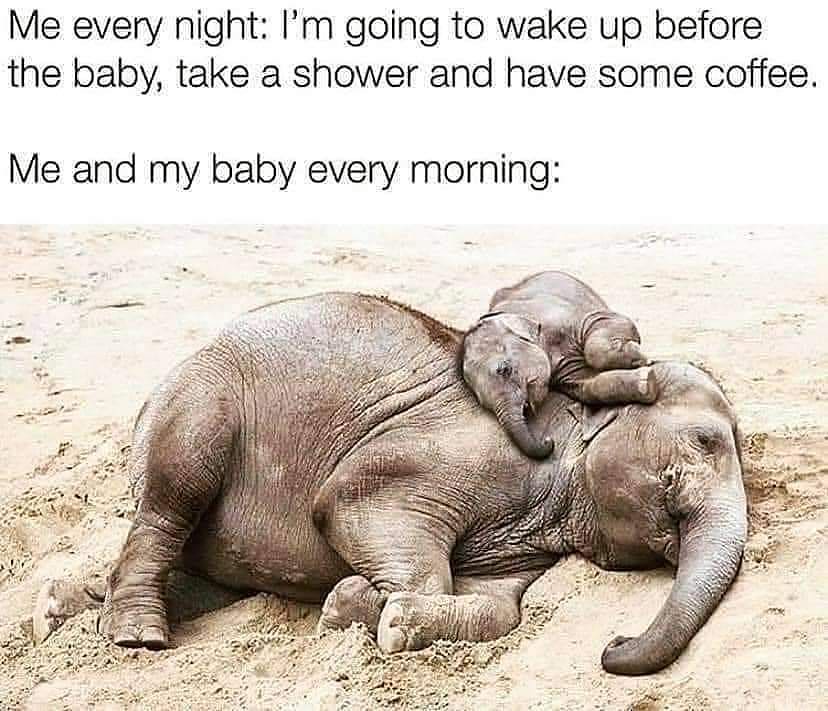 Why is sleep always sweetest in the morning?